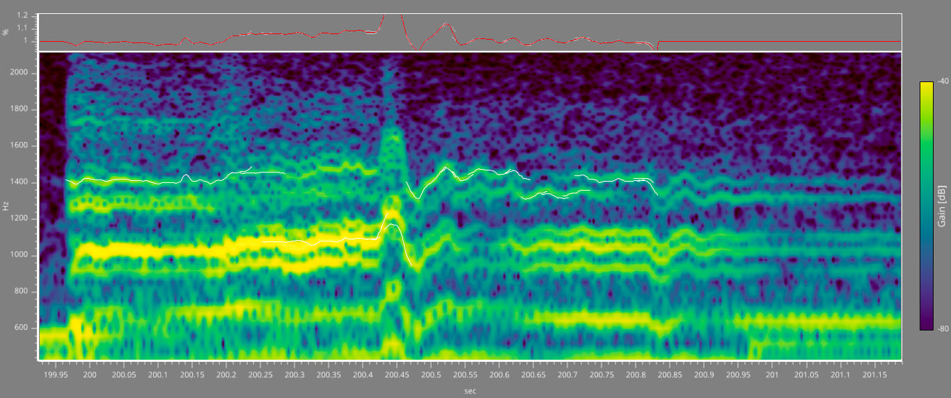 Trace of audio flutter distortion fingerprint